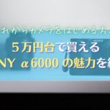 【予算5万円・ミラーレス一眼】SONY α6000はカメラ初心者の心強い味方｜2022年最新