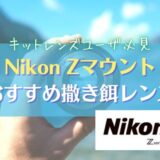【NIKKOR Z 40mm F_2】ニコン Zマウント向け撒き餌レンズを紹介｜Nikon・単焦点レンズ