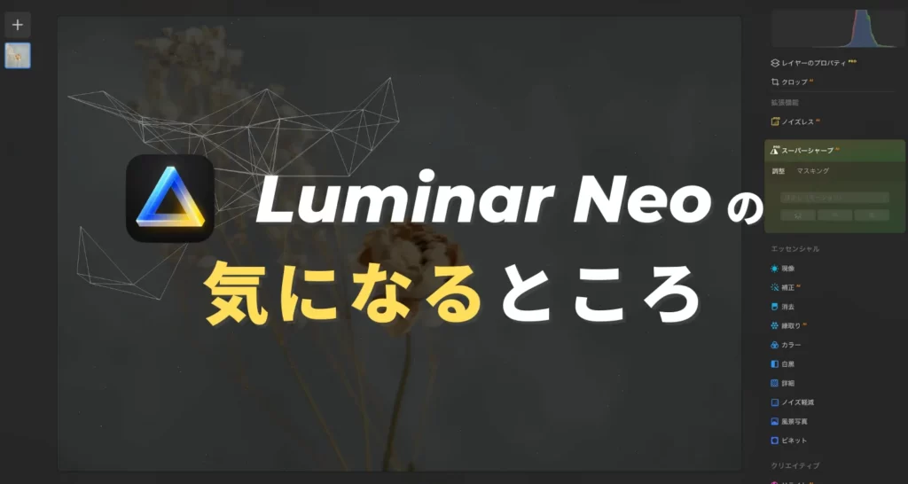 Luminar Neo（ルミナーネオ）の欠点・デメリット