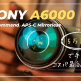 【SONY α6000】初心者ピッタリ！５万円台で買えるSONYミラーレス一眼カメラ