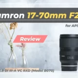 【Tamron 17-70mm F2.8｜作例レビュー】世界初のF2.8通し便利ズームレンズ｜Eマウント・Xマウント対応