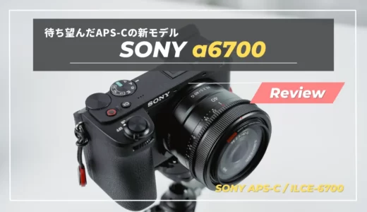 【レビュー】まさに小さなモンスターカメラ。SONY α6700を購入して感じたメリット・デメリット｜ILCE-6700