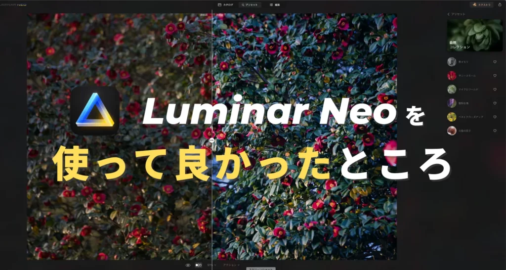 Luminar Neo（ルミナーネオ）のレビュー